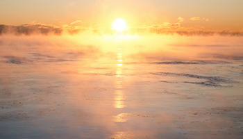 Elegant bronze urn with a floral arrangement on a table and friends and family in the background.