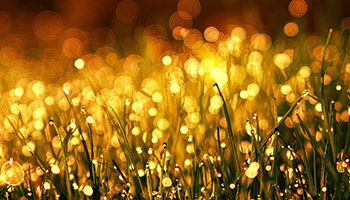 Elegant bronze urn with a floral arrangement on a table and friends and family in the background.