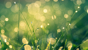 Elegant bronze urn with a white floral arrangement on a table with a white table cloth and friends and family in the background.